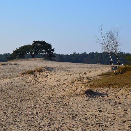 Huisje Weideblik Doornspijk Екстериор снимка